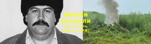мяу мяу мука Горно-Алтайск